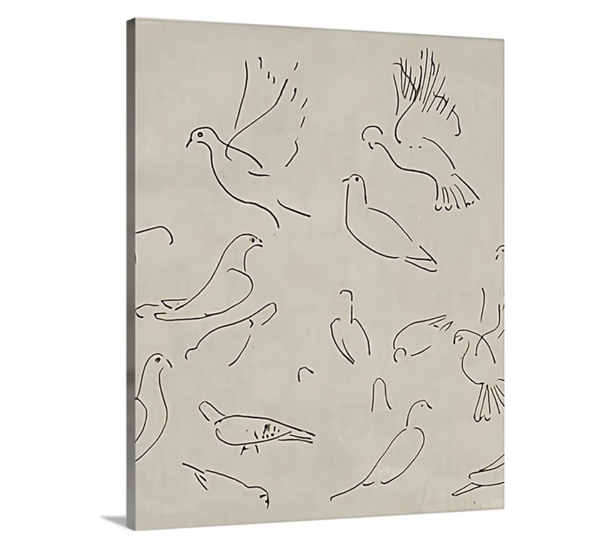 Dove - Canvas - Image 5