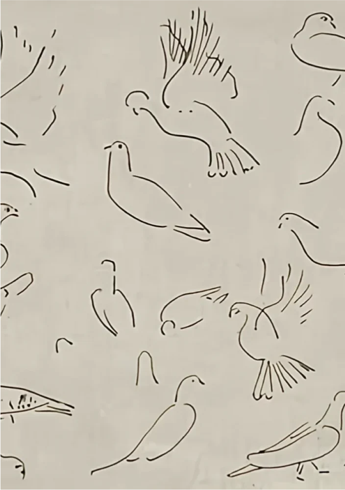 Dove - Canvas - Image 7