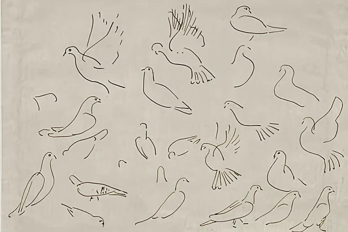 Dove - Print - Image 3